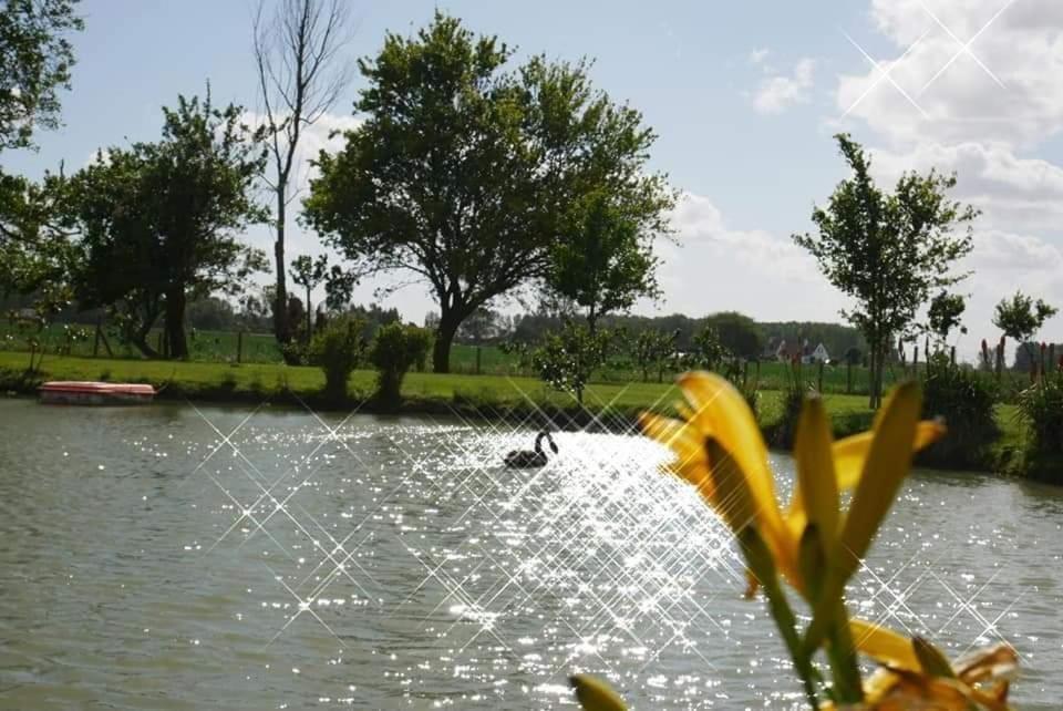 Gite Canard Fromelles Екстериор снимка