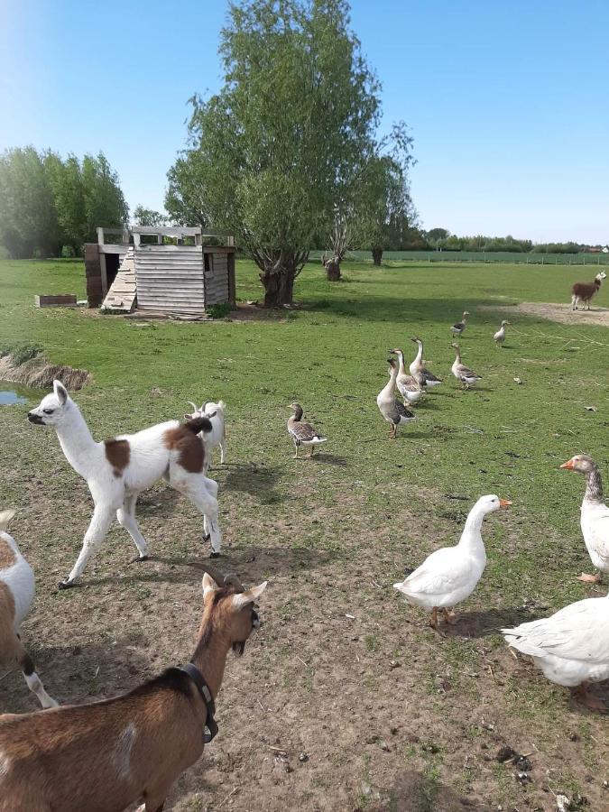 Gite Canard Fromelles Екстериор снимка