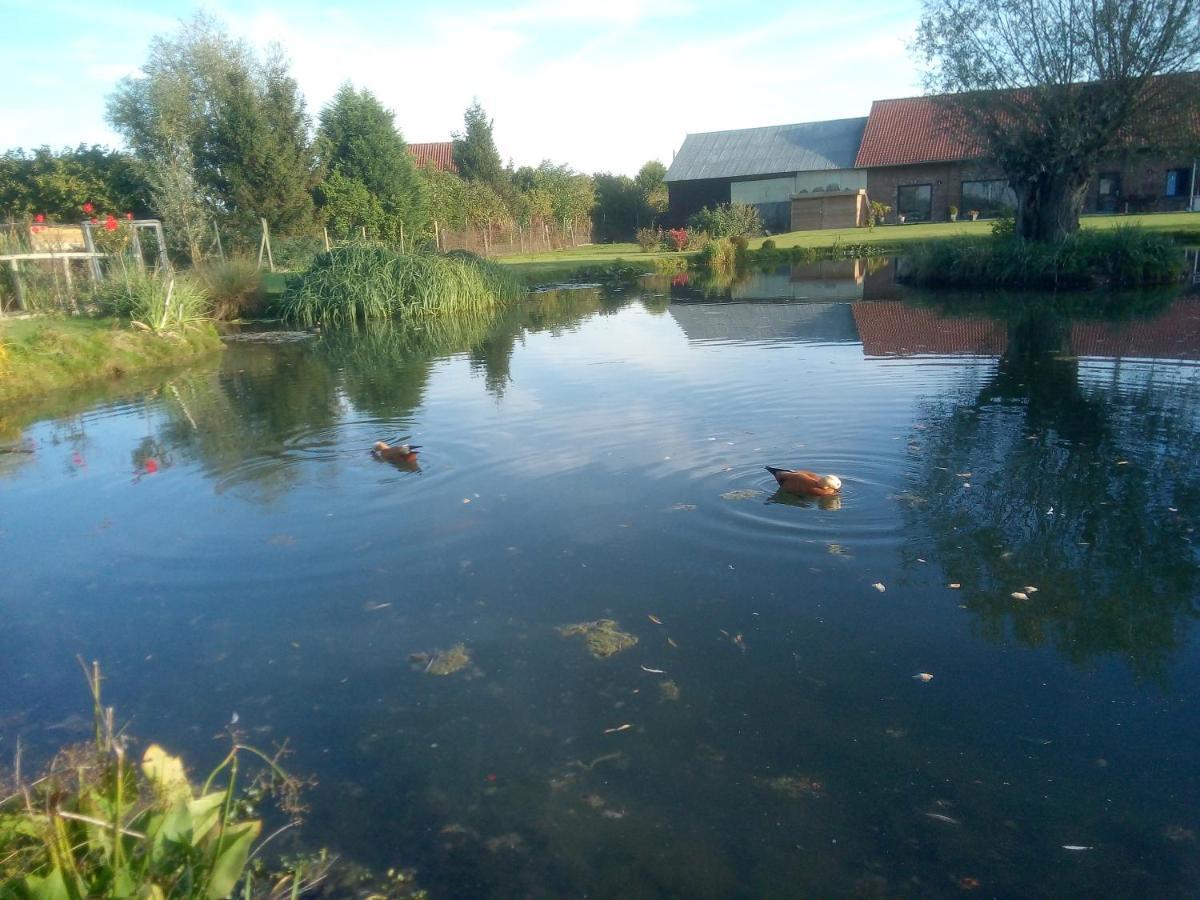 Gite Canard Fromelles Екстериор снимка